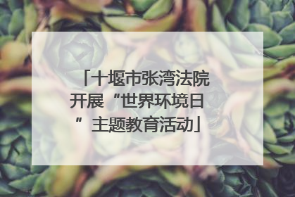 十堰市张湾法院开展“世界环境日”主题教育活动