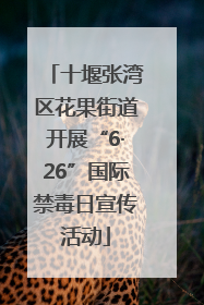 十堰张湾区花果街道开展“6·26”国际禁毒日宣传活动