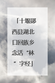十堰郧西县湖北口回族乡念活“林”字经