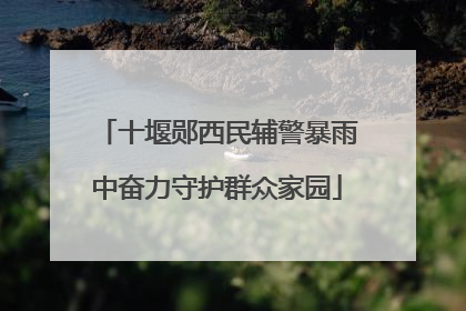 十堰郧西民辅警暴雨中奋力守护群众家园