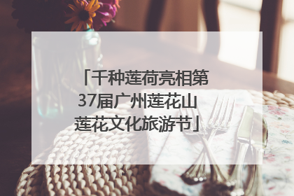 千种莲荷亮相第37届广州莲花山莲花文化旅游节