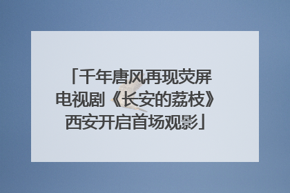 千年唐风再现荧屏 电视剧《长安的荔枝》西安开启首场观影