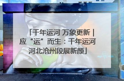 千年运河 万象更新｜应“运”而生：千年运河河北沧州段展新颜
