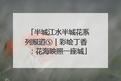 半城江水半城花系列报道⑤｜彩绘丁香：花海映照一座城