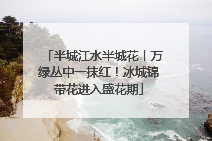 半城江水半城花丨万绿丛中一抹红！冰城锦带花进入盛花期
