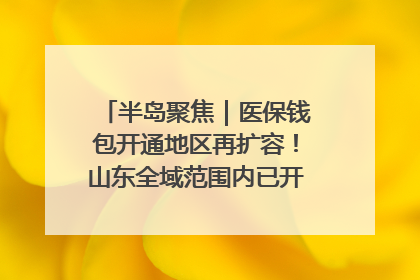 半岛聚焦｜医保钱包开通地区再扩容！山东全域范围内已开通，有何用处？如何操作？速戳→