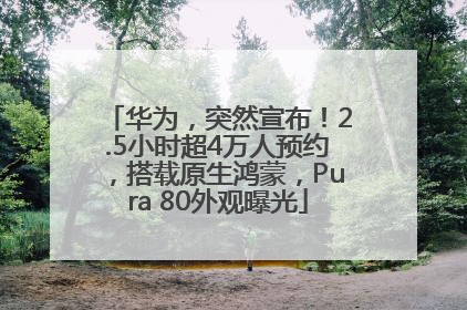 华为，突然宣布！2.5小时超4万人预约，搭载原生鸿蒙，Pura 80外观曝光