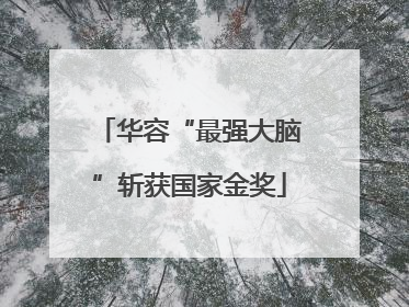 华容“最强大脑”斩获国家金奖