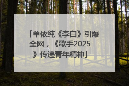 单依纯《李白》引爆全网，《歌手2025》传递青年精神