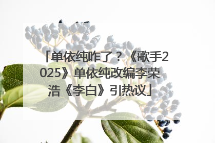 单依纯咋了？《歌手2025》单依纯改编李荣浩《李白》引热议