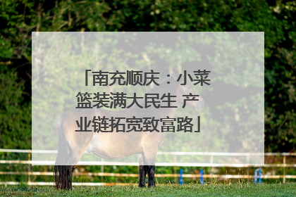 南充顺庆：小菜篮装满大民生 产业链拓宽致富路