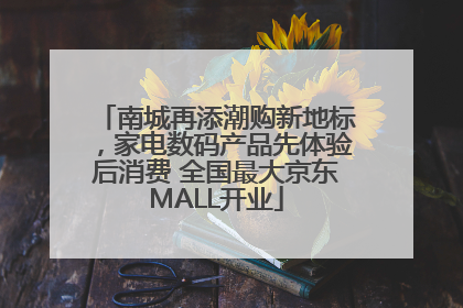 南城再添潮购新地标，家电数码产品先体验后消费 全国最大京东MALL开业