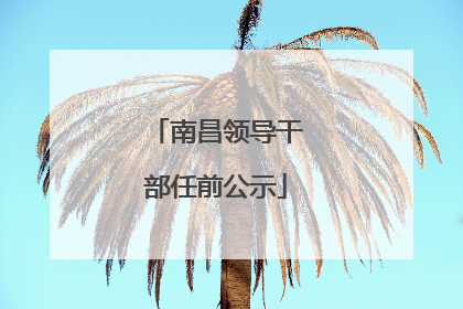 南昌领导干部任前公示
