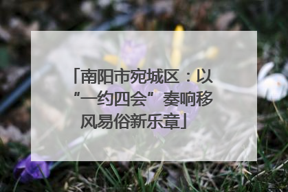 南阳市宛城区：以“一约四会”奏响移风易俗新乐章