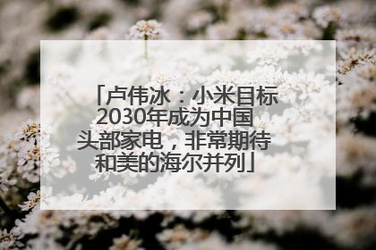 卢伟冰：小米目标2030年成为中国头部家电，非常期待和美的海尔并列