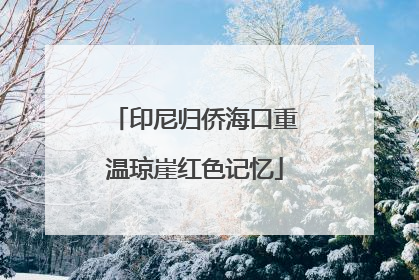 印尼归侨海口重温琼崖红色记忆