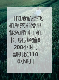 印度航空飞机坠落前发出紧急呼叫！机长飞行经验8200小时，副机长1100小时