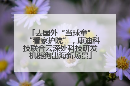 去国外“当球童”、“看家护院”，康迪科技联合云深处科技研发机器狗出海新场景