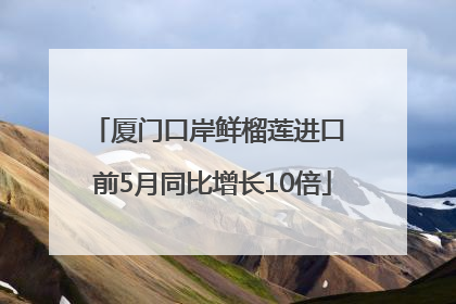 厦门口岸鲜榴莲进口 前5月同比增长10倍