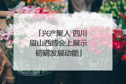 兴产聚人 四川眉山西博会上展示磅礴发展动能