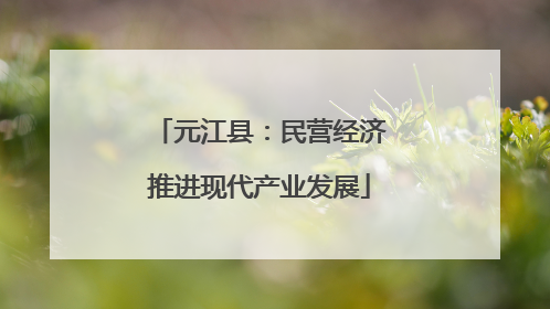 元江县：民营经济推进现代产业发展