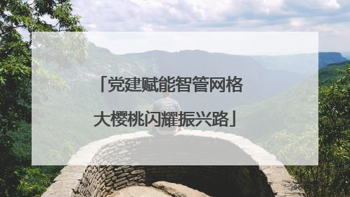 党建赋能智管网格 大樱桃闪耀振兴路