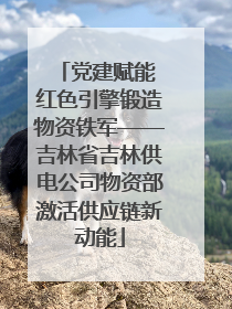 党建赋能 红色引擎锻造物资铁军——吉林省吉林供电公司物资部激活供应链新动能