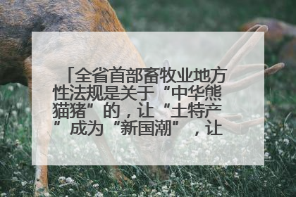 全省首部畜牧业地方性法规是关于“中华熊猫猪”的，让“土特产”成为“新国潮”，让“农产品”升格为“城市IP”