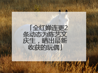 全红婵连更2条动态为陈艺文庆生，晒出最新收获的玩偶