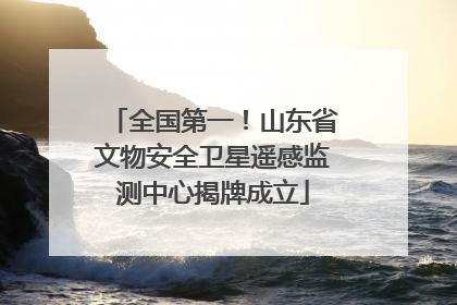 全国第一！山东省文物安全卫星遥感监测中心揭牌成立