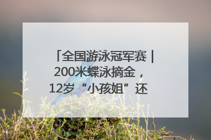 全国游泳冠军赛｜200米蝶泳摘金，12岁“小孩姐”还能制造多少惊喜？