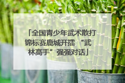 全国青少年武术散打锦标赛鹿城开擂 “武林高手”强强对话
