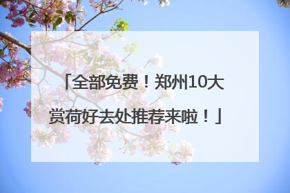 全部免费！郑州10大赏荷好去处推荐来啦！