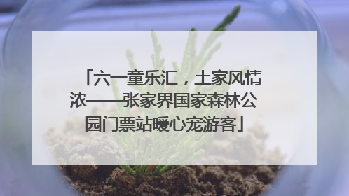 六一童乐汇，土家风情浓——张家界国家森林公园门票站暖心宠游客