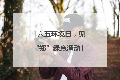 六五环境日，见“郑”绿意涌动