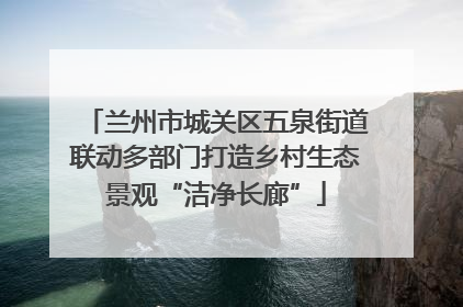 兰州市城关区五泉街道联动多部门打造乡村生态景观“洁净长廊”