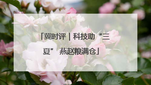 冀时评｜科技助“三夏” 燕赵粮满仓