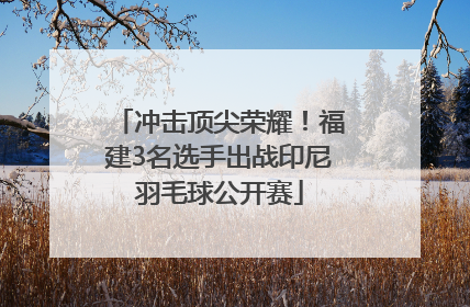 冲击顶尖荣耀！福建3名选手出战印尼羽毛球公开赛
