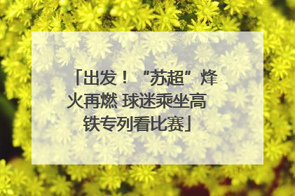 出发！“苏超”烽火再燃 球迷乘坐高铁专列看比赛