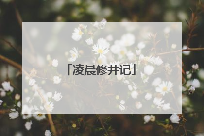 凌晨修井记