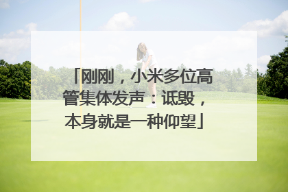 刚刚，小米多位高管集体发声：诋毁，本身就是一种仰望