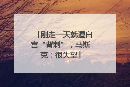 刚走一天就遭白宫“背刺”，马斯克：很失望