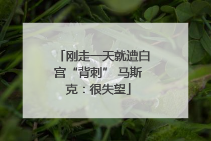 刚走一天就遭白宫“背刺” 马斯克：很失望