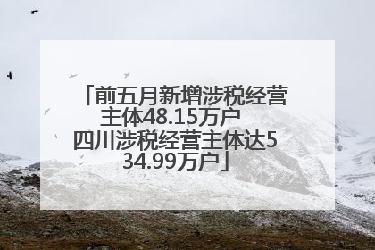 前五月新增涉税经营主体48.15万户 四川涉税经营主体达534.99万户