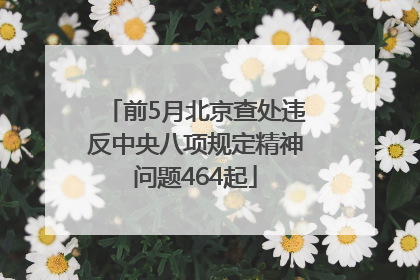 前5月北京查处违反中央八项规定精神问题464起