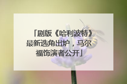 剧版《哈利波特》最新选角出炉，马尔福饰演者公开