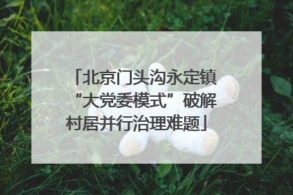 北京门头沟永定镇“大党委模式”破解村居并行治理难题