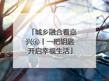 城乡融合看嘉兴⑥丨一把钥匙开启幸福生活