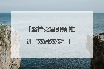 坚持党建引领 推进“双融双促”