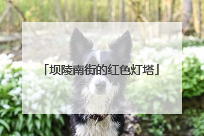 坝陵南街的红色灯塔